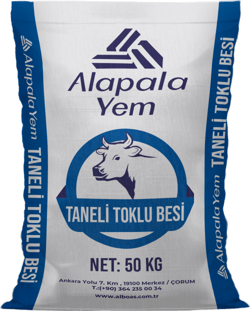 TANELİ TOKLU BESİ