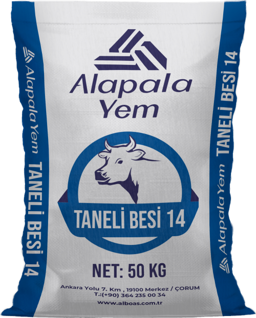 TANELİ BESİ 14