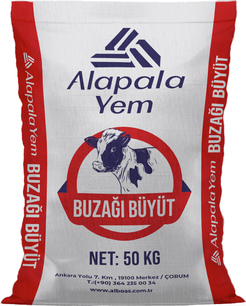 BUZAĞI BÜYÜT