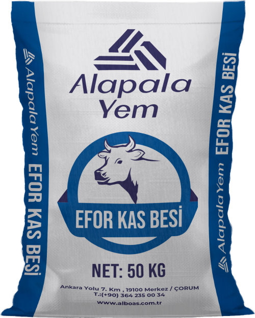 EFOR KAS BESİ (MAYALI)