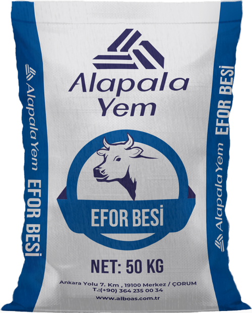 EFOR BESİ