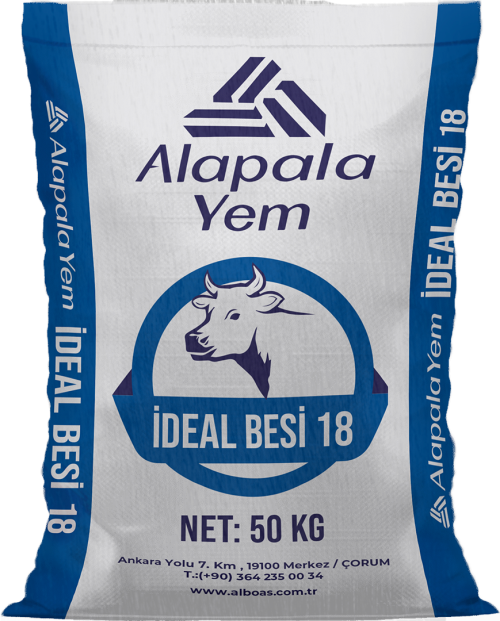 İDEAL BESİ 18