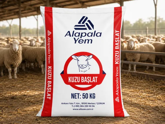 ALAPALA KUZU BAŞLAT